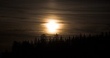 crw_5913 Moonrise over the trees.