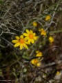 deathvalley06 
