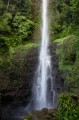 dominica2005-middleham-07 