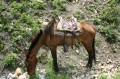 img_3549 