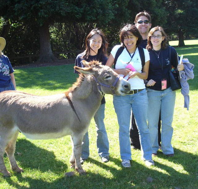 Shrek donkey