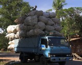 crw_7247 A local strapping more stuff on top of a seriously overloaded truck.