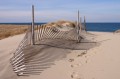 Cape Cod Fence