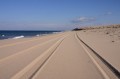 capecod2005-17 Tire marks on the sand.