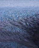 crw_3610 Crevasses on the eastern edge of Glacier Grey.