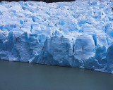 crw_3661 A closeup of the face of Glacier Grey.