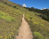 crw_3957 Wildflowers were in full bloom during our trip. The tip of Cerro Fitzroy in the background.