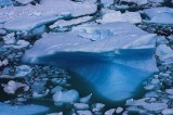 crw_4240 An iceberg that probably came from the higher part of the glacier.