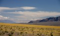 Death Valley in full bloom