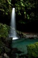 dominica2005-emeraldpool-05 