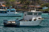 _mg_4348 Galapagos sea lions hanging out on a boat in Puerto Baquerizo Moreno on San Cristobal