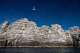 53-_MG_5355 Little Skellig, Ireland