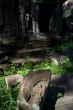 62-CRW_6710 Ta Prohm, Cambodia