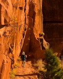 crw_2599 Serene descending on the North Kaibab Trail on the second day.