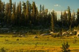 CRW_1409 Sunrise in the meadows at Sunrise High Sierra Camp.