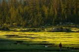 CRW_1410 Ben admiring the meadows at Sunrise High Sierra Camp.