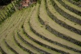 _mg_9628 Terraces in Pisac.