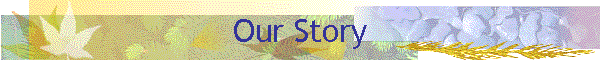 Our Story