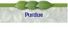 Purdue