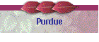 Purdue