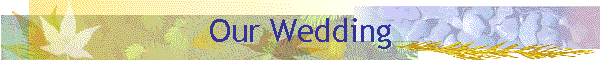 Our Wedding