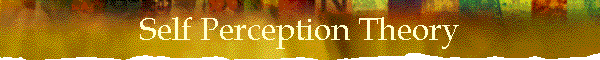 Self Perception Theory