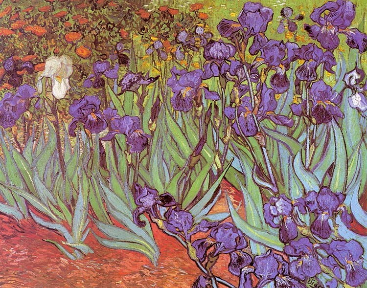 Van Gogh Irises 1889 Oil On Canvas Getty Museum Post Impressionist